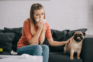 alergia sebacea perros
