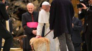 Papa Francisco y los perros