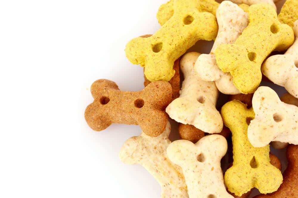 Los snacks para perros beneficios y desventajas